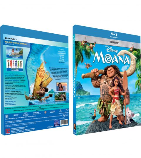 moana blind box